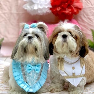 Enchanting Cinderella and Prince Charming Pet Bandanas for Fairytale Pups and Kitties | Dog mom gift | Dog Halloween Costume