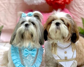 Enchanting Cinderella and Prince Charming Pet Bandanas for Fairytale Pups and Kitties | Dog mom gift | Dog Halloween Costume