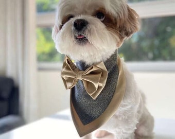 Champagne Shimmer Tuxedo Bandana for Cats and Dogs - Formal Pet Attire