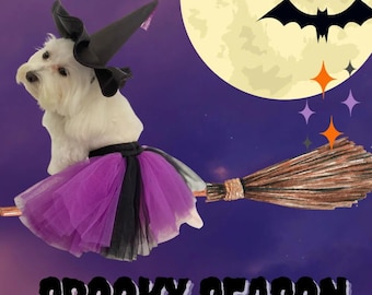 Witch's Skirt & Hat Set - Halloween Pet Costume in Purple and Black