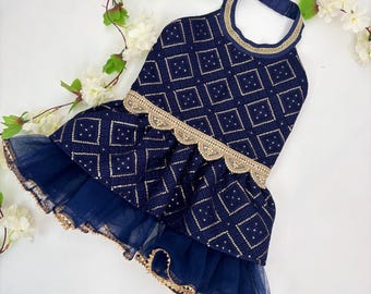 Embroidered Dog Dress Harness: Navy Blue, Gold Sequins, Traditional Pet Outfit