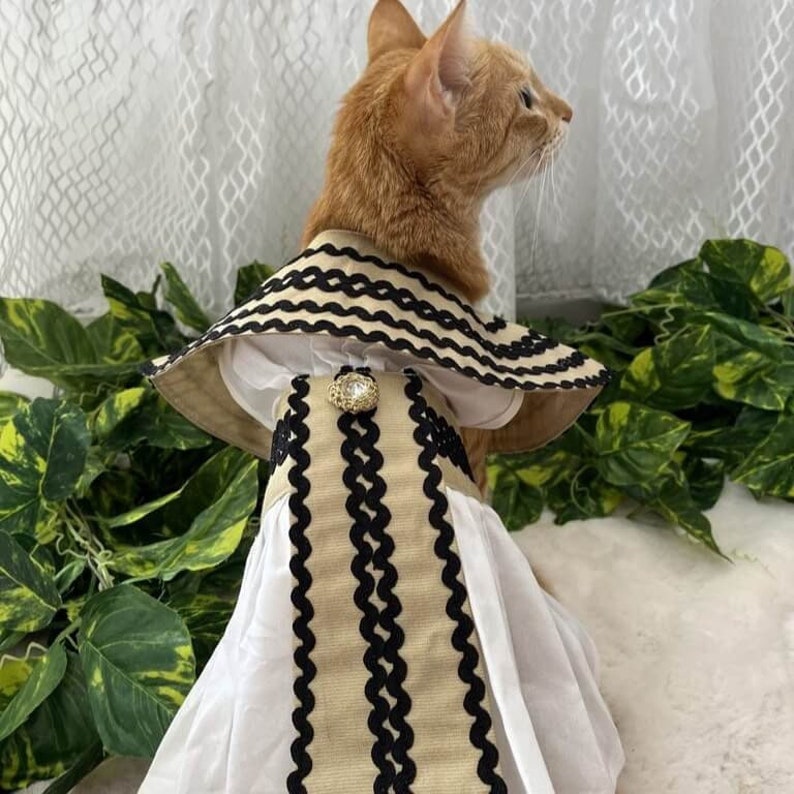 Introducing Our Cleopatra's Ensemble Halloween Pet Costume!