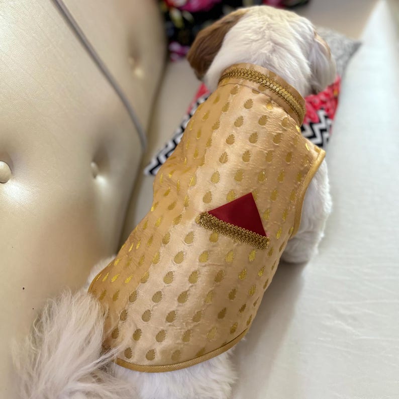 May include: A small white dog wearing a gold and red patterned vest with a red triangle on the front. The vest has a gold trim and is made of a silky material.