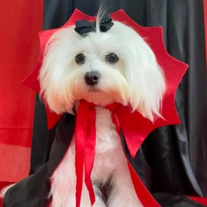 Vamp up Your Pet&#39;s Style with the Dracula Cape - Halloween Pet Costume