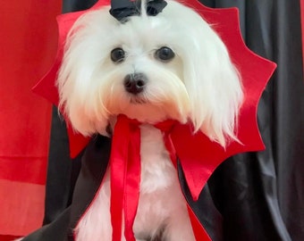 Vamp up Your Pet's Style with the Dracula Cape - Halloween Pet Costume