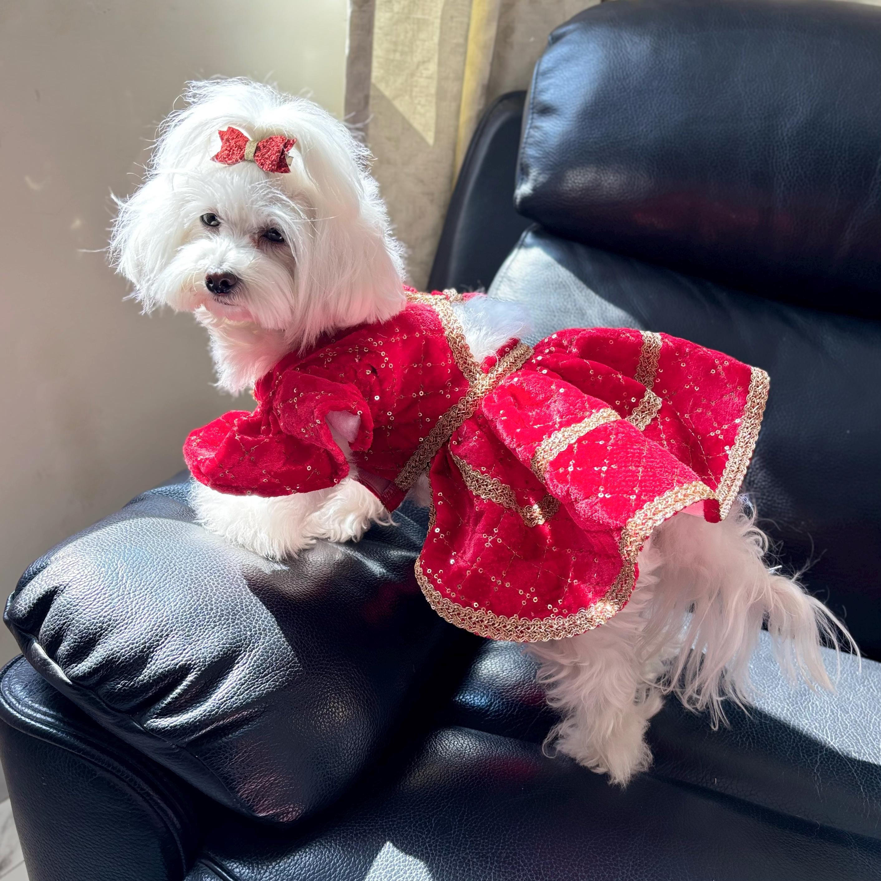 dress for big dogs GREEN BIG COLLAR BUBBLE DRESS FOR DOGS AND CATS main image 0