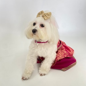May include: A small white dog wearing a gold sequined bow, a magenta collar, and a magenta and gold patterned dress. The dog is sitting and looking forward against a white background.