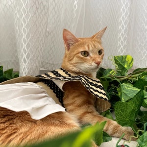 May include: An orange tabby cat wearing a beige and black striped collar and a white dress with a beige cape. The cat is lying down among green leafy vines and is looking to the right.