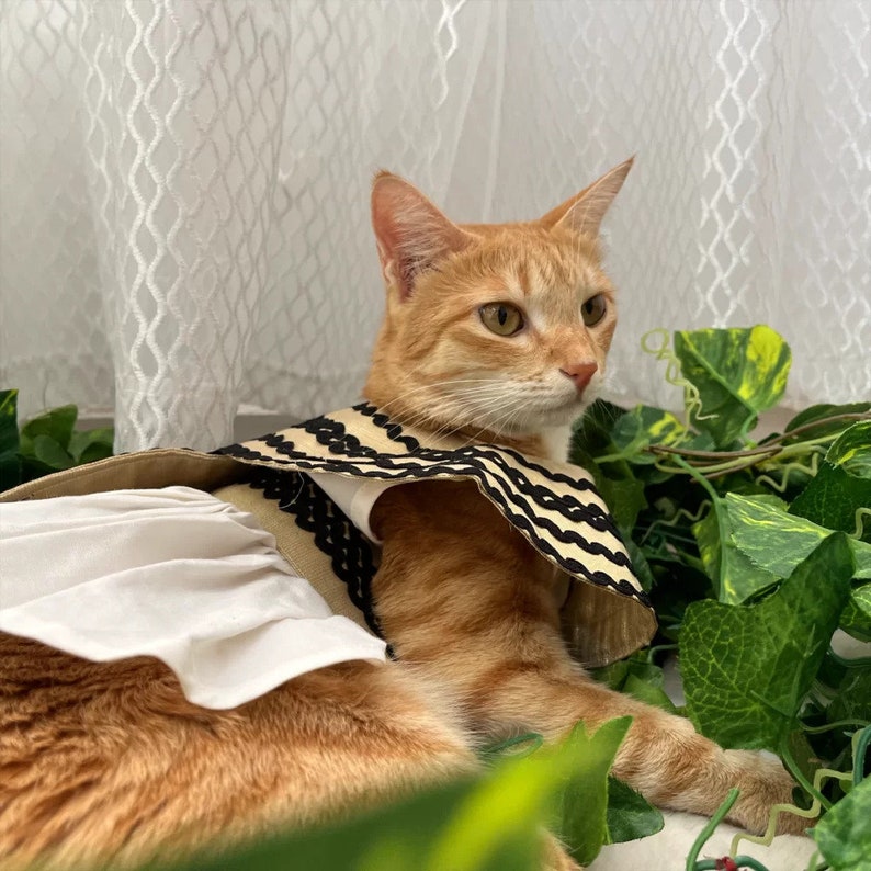 May include: An orange tabby cat wearing a beige and black striped collar and a white dress with a beige cape. The cat is lying down among green leafy vines and is looking to the right.