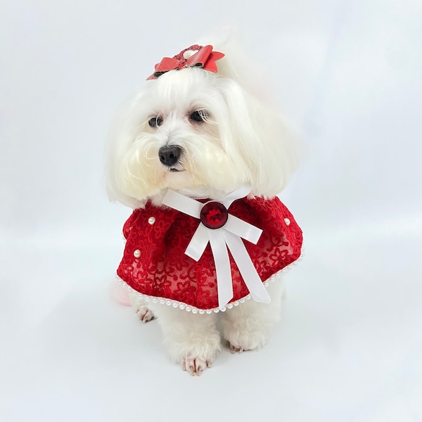 Elegant Ruby Fancy Cape Collar for Cats and Dogs - Handmade Pet Accessory