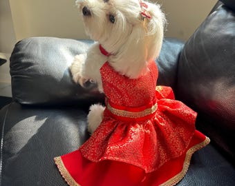 Red Lehenga Choli for Dogs and Cats - Ethnic Pet Costume