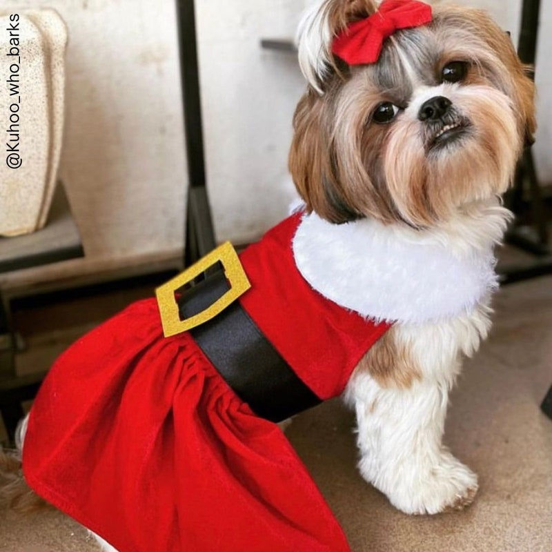 SMALL DOG CHRISTMAS- Mrs Claus Doggy Dress main image 1