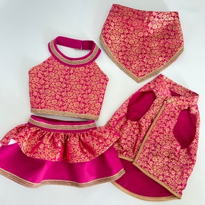 May include: A set of pet apparel in a vibrant fuchsia hue with gold floral patterns. The set includes a halter top, skirt, bandana, and jacket, all trimmed with gold accents. The fabric has a luxurious sheen, suggesting a special occasion outfit for a pet.