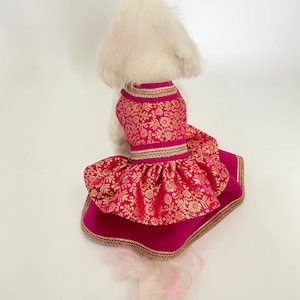 May include: A dog wearing a magenta and gold patterned dress. The dress features a bodice and a layered skirt with gold trim. The dog is white with long fur, and the dress is designed for a small dog.