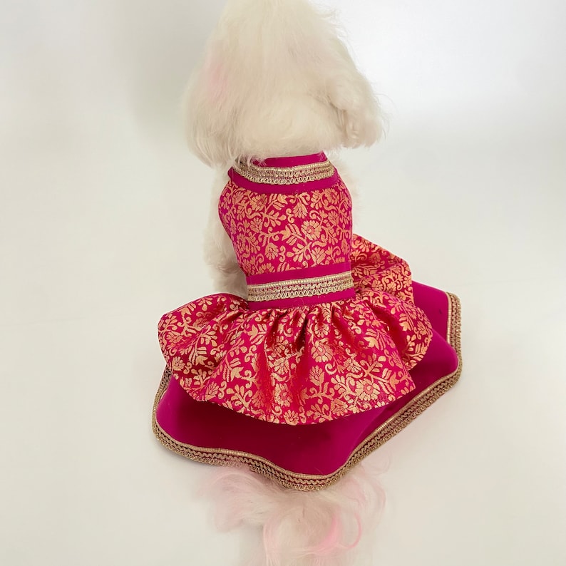 May include: A dog wearing a magenta and gold patterned dress. The dress features a bodice and a layered skirt with gold trim. The dog is white with long fur, and the dress is designed for a small dog.