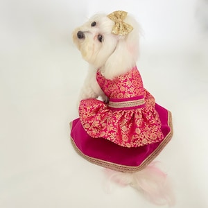 May include: A white dog wearing a pink and gold patterned dress with a matching gold bow. The dress features a gold trim and a flared skirt, creating a festive look. The dog is sitting on a white surface.
