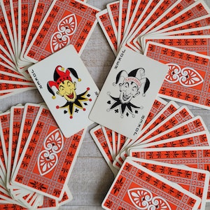 Vintage Playing Cards 3 Sets - American Museum of Natural History