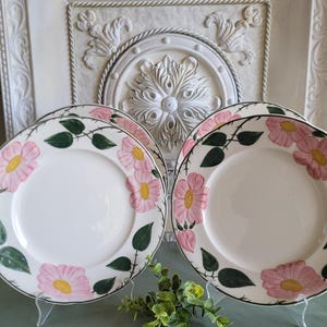 Cocotte Vintage Villeroy & Boch Wild Rose – Poêle Couverte électrique/gaz