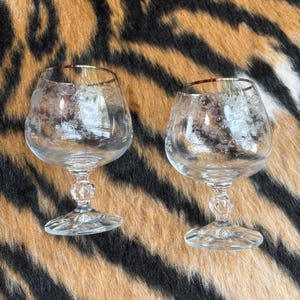 Set of 2 Vintage Bohemia Etched Crystal Brandy Cognac Glasses Decorative Floral Barware Glasses