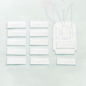 May include: White embroidered fabric pieces with text indicating months, from 1 to 12 months. The design includes a larger, decorative piece with the text "measure embroidery". The background is a light blue color.