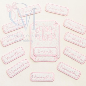 May include: Pink and white embroidered baby milestone markers. The set includes a large tag with a monogram and smaller tags labeled "1 month" through "12 months". The text is in a delicate script font.