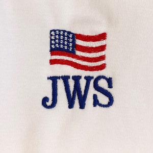 Mini Fill Patriotic American Flag Machine Embroidery Design