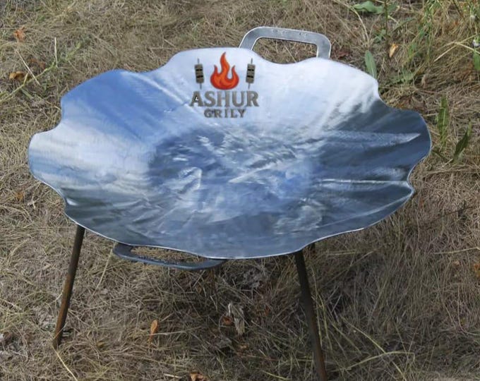 Frying pan made of Chamomile harrow disc 60 cm/Диск-сковорода Ромашка-600 мм