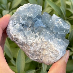 Celestite Crystal Cluster | Raw Celestite Geode