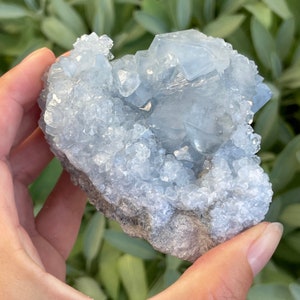 Celestite Crystal Cluster | Raw Celestite Geode