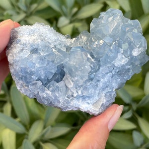 Celestite Crystal Cluster | Raw Celestite Geode