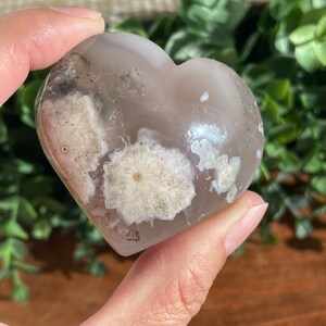 Flower Agate Heart Shaped Heart, Sakura Agate Heart, Chery Blossom Agate Hearts