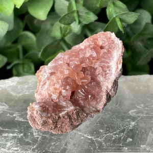Mini Pink Amethyst Geode From Argentina