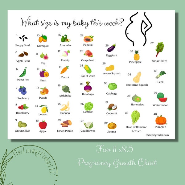 Week-by-Week Baby Growth Chart, Pregnancy growth chart, baby growth, fruit, 11 x 8.5 PDF Instant Download, Unlimited Printing