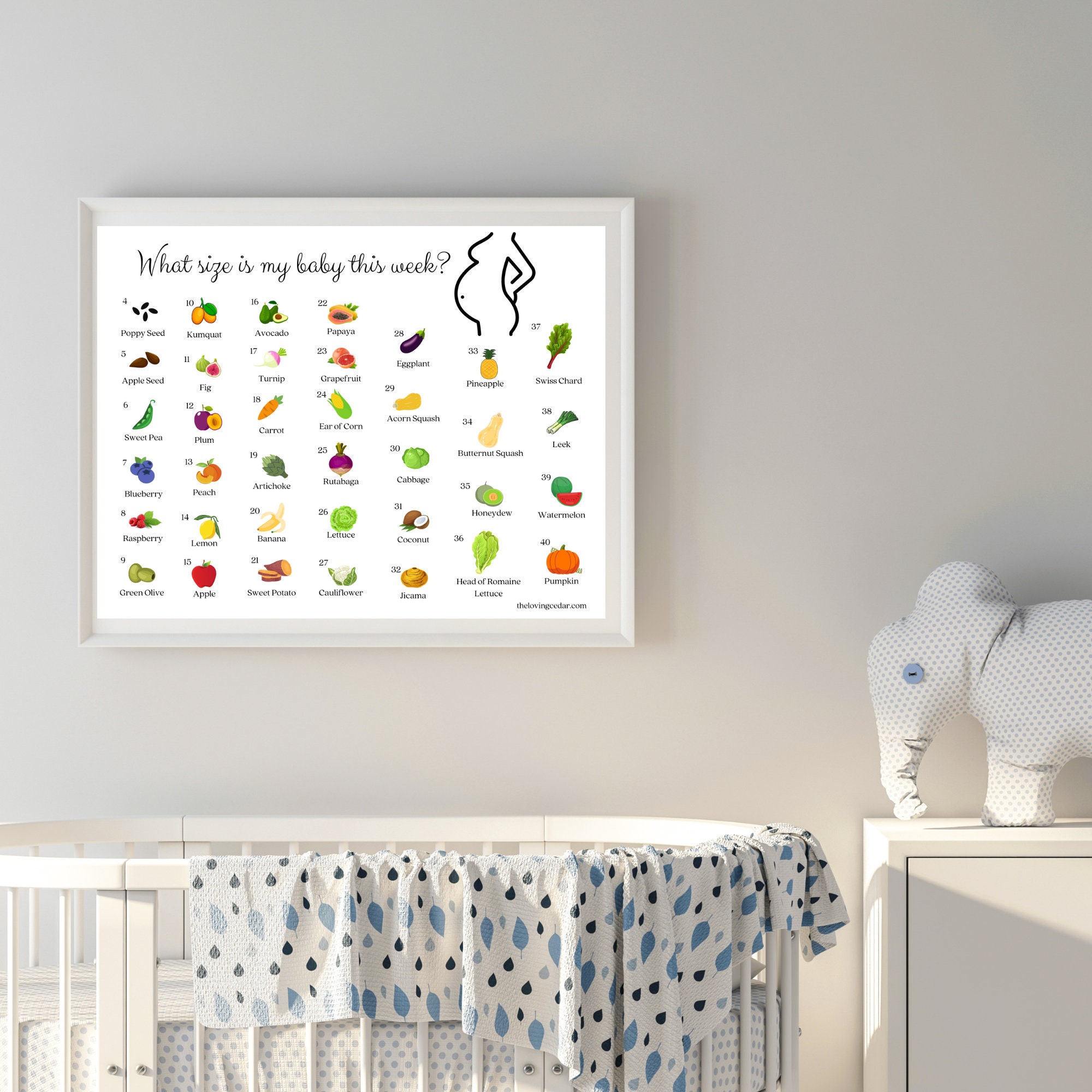 How Big is Baby Weekbyweek Pregnancy Growth Chart 11 X 8.5 PDF Instant Download Unlimited