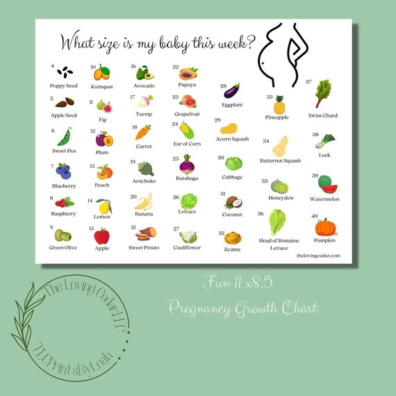 Growth scale hot sale baby