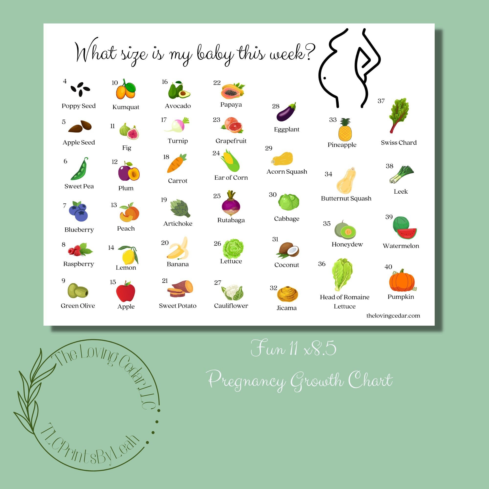 Week by week Baby Growth Chart Pregnancy Growth Chart Baby Growth Fruit 11 X 8 5 PDF Instant Week by week Baby Growth Chart Pregnancy Growth Chart Baby Growth Fruit 11 X 8 5 PDF Instant