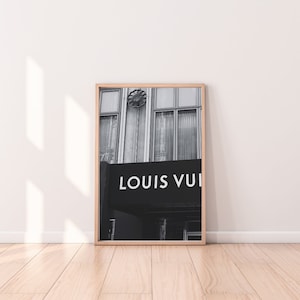 Louis Vuitton wall LV wall painted white aesthetic