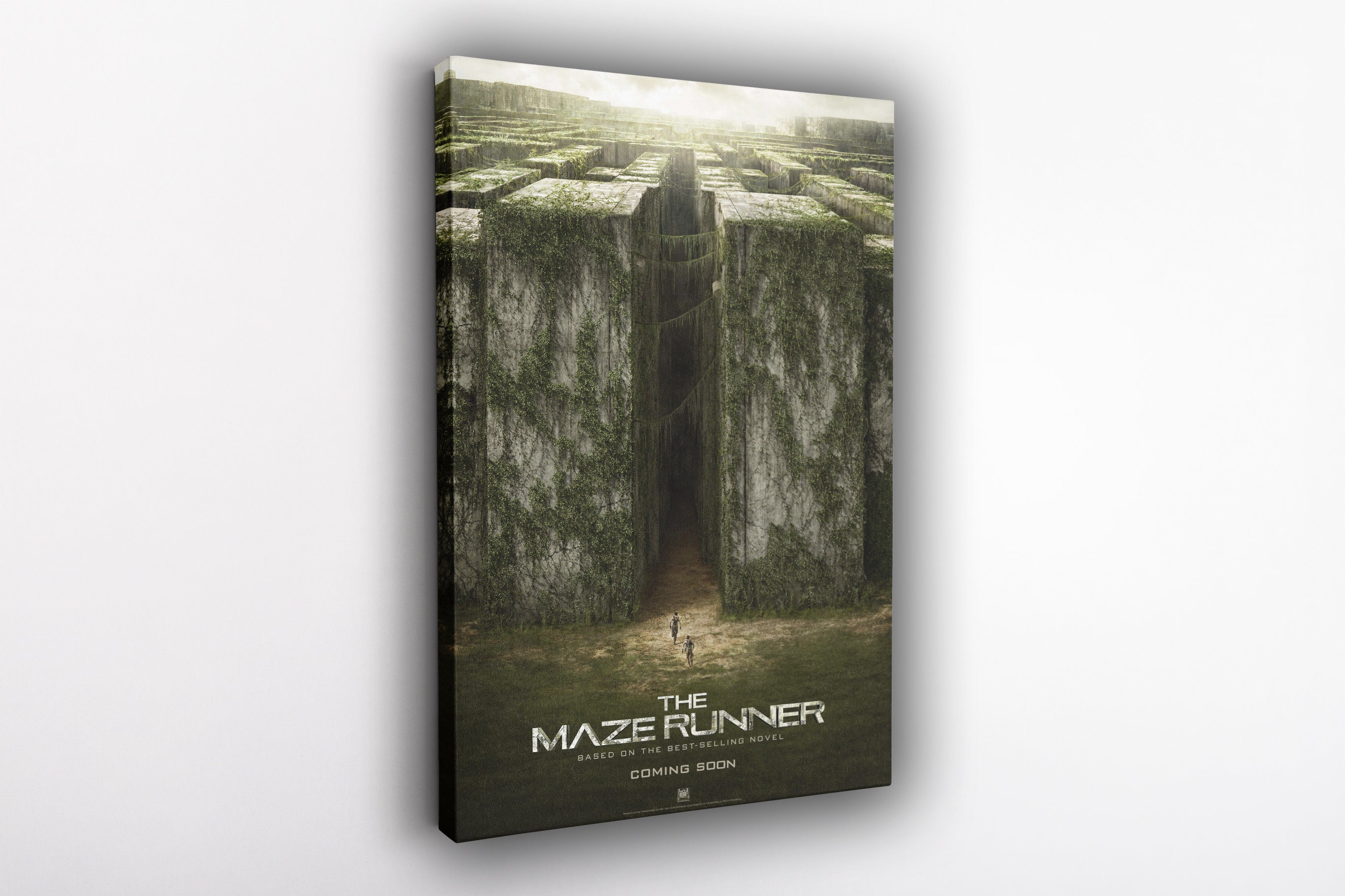 158490 The Maze Runner Dylan Thomas thrilling Hot Movie Wall Print Poster