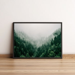 Stampa della foresta di Endor: poster o tela di alberi sempreverdi nebbiosi