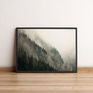 Endor Forest, Endor Forest Poster, Endor Forest Druck, gerahmt, Poster, Leinwand für Wohnzimmer Wohnkultur