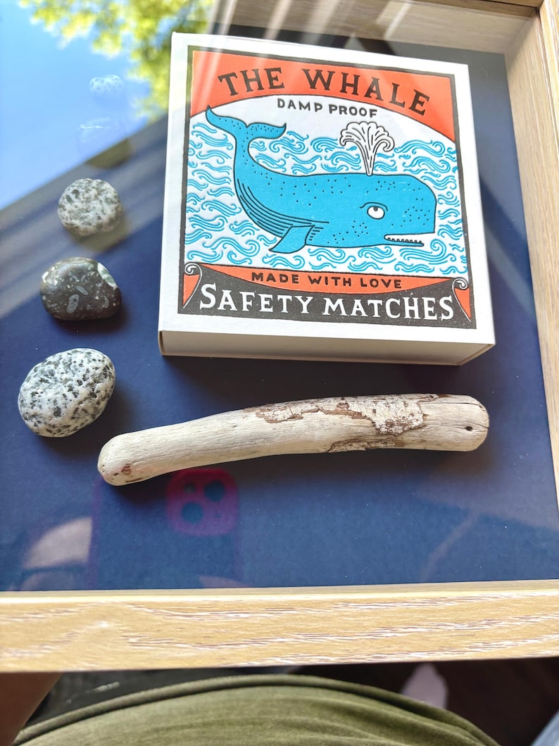 Whale Matchbox Shadow Box: Coastal Nautical Decor With Driftwood - Etsy