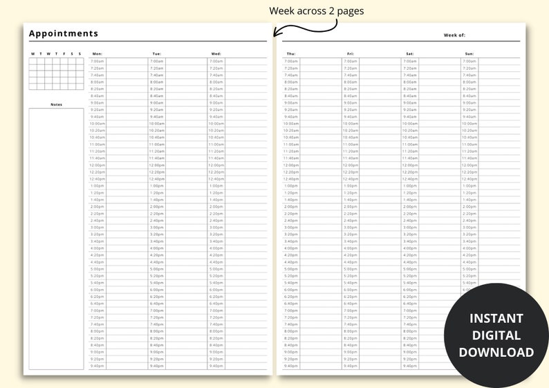 Appointment Book Printable, 20 Minute Interval Planner, Digital Appointment Sheet, Salon Appointment Diary, Weekly Schedule, A4/A5/Letter image 2