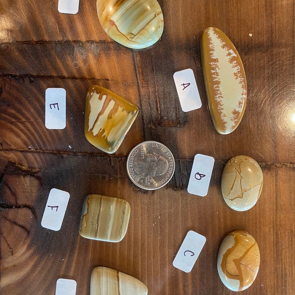 Owyhee Picture Jasper Etsy