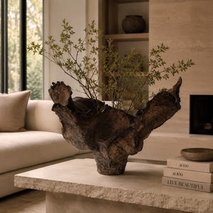 Puede incluir: Un recipiente de madera de color marrón oscuro con forma orgánica y un exterior de corteza rugosa y texturizada que contiene una delicada rama verde con hojas. El recipiente se asienta sobre una superficie de piedra junto a una pila de tres libros con el texto at 100 y LIVE BEAUTIFUL.