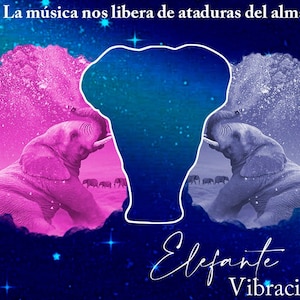 MUSÍCA TO MEDITATE