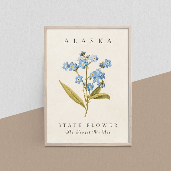 Homestate Alaska Forget Me Not Botanical Art Print - Nature Inspired Alaska Floral Wall Decor, Flower Market Poster, botanical State Flower