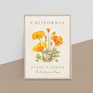 California Flower Market poster, California State Flower, California Matisse Print, Vintage California Poppy, Stateflower Botanical Artwork