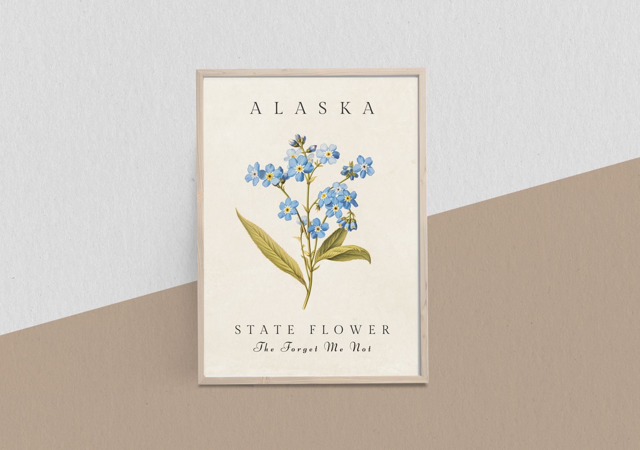 Flowers - Forget Me Not – Alaska Wild & Free