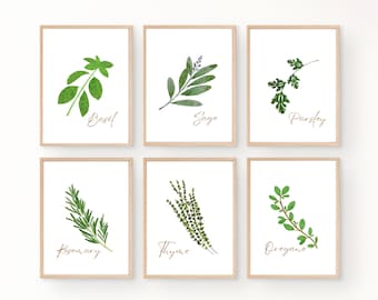 Herb Botanical Prints: Farmhouse Kitchen Wall Art (Digital Download)