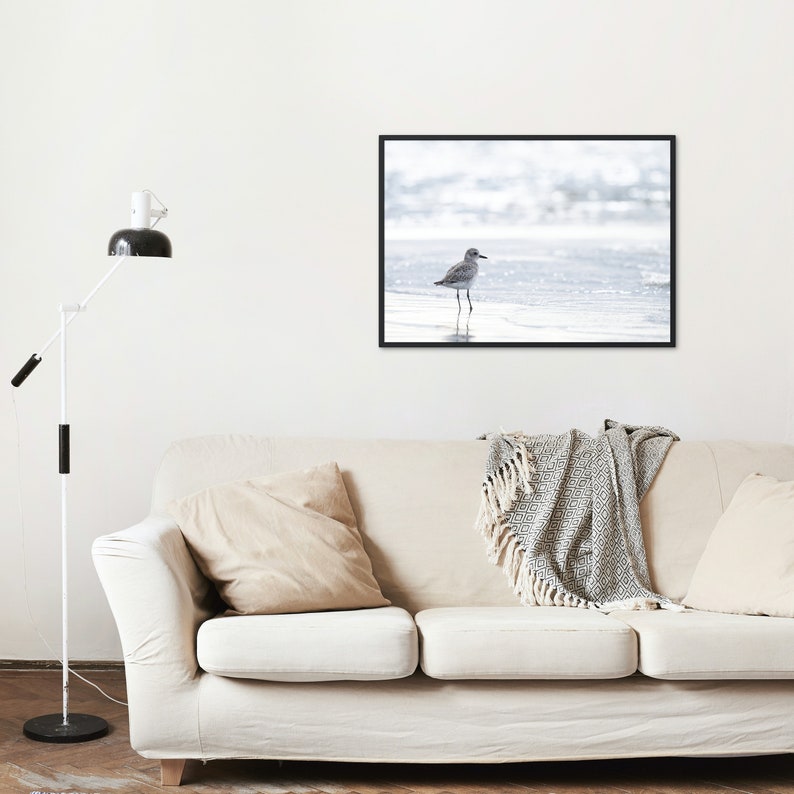Shorebird Print Original Photo Beach Bird Home Decor Surf Etsy